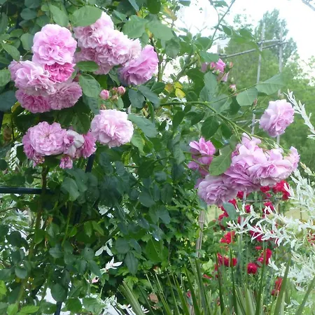 Au Hameau Des Vignerons